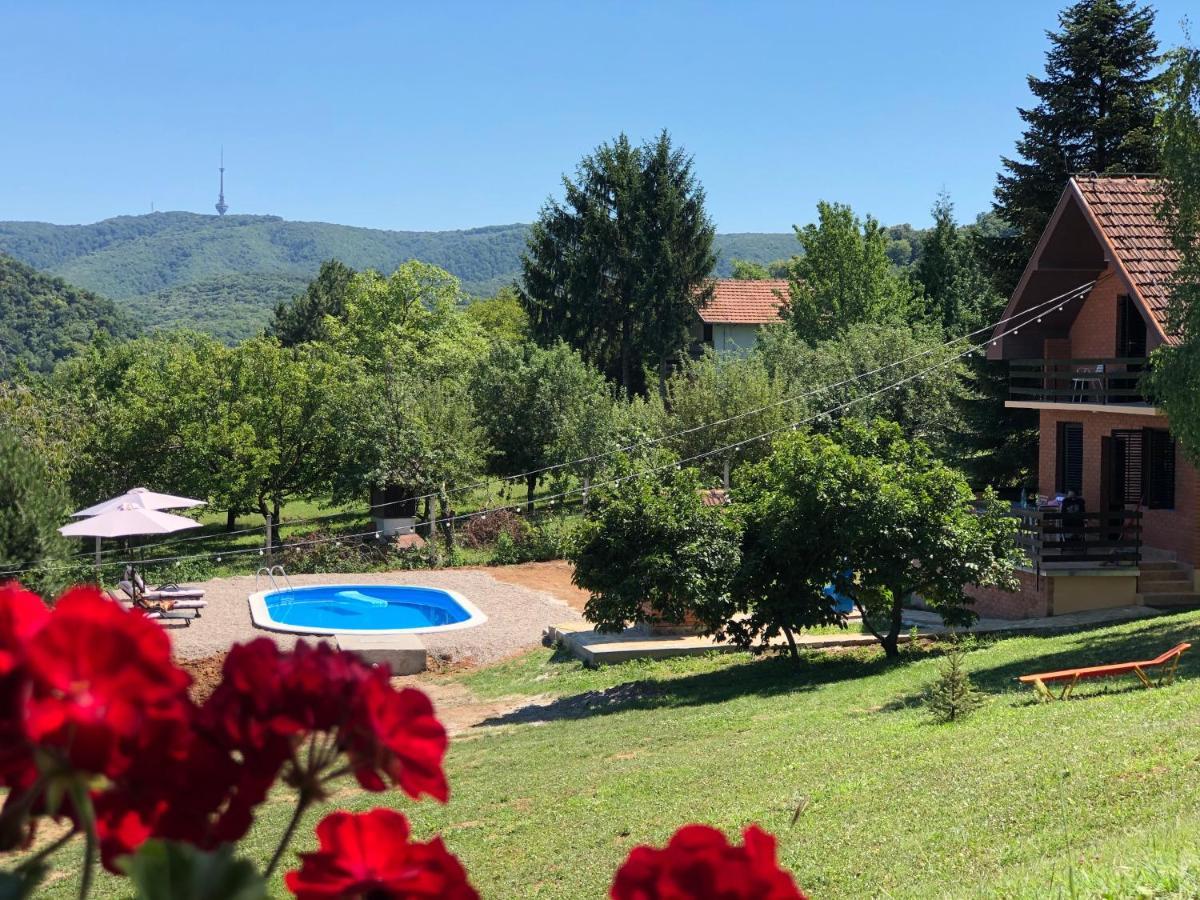 Fruska Pool House Villa Sremska Kamenica Bagian luar foto