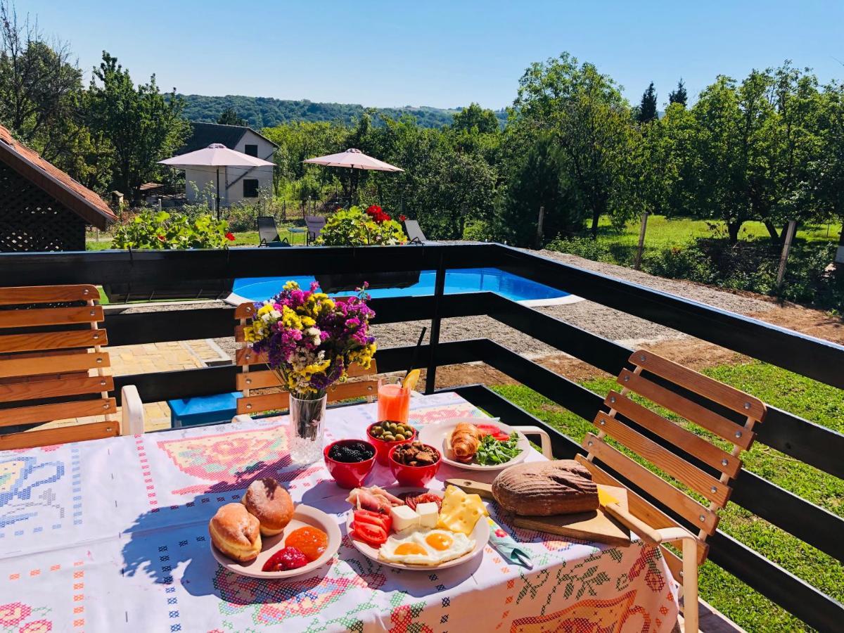 Fruska Pool House Villa Sremska Kamenica Bagian luar foto