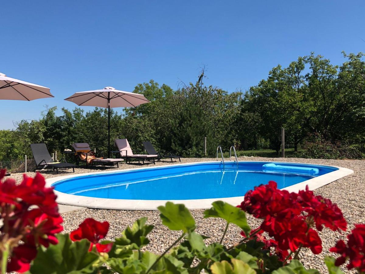 Fruska Pool House Villa Sremska Kamenica Bagian luar foto