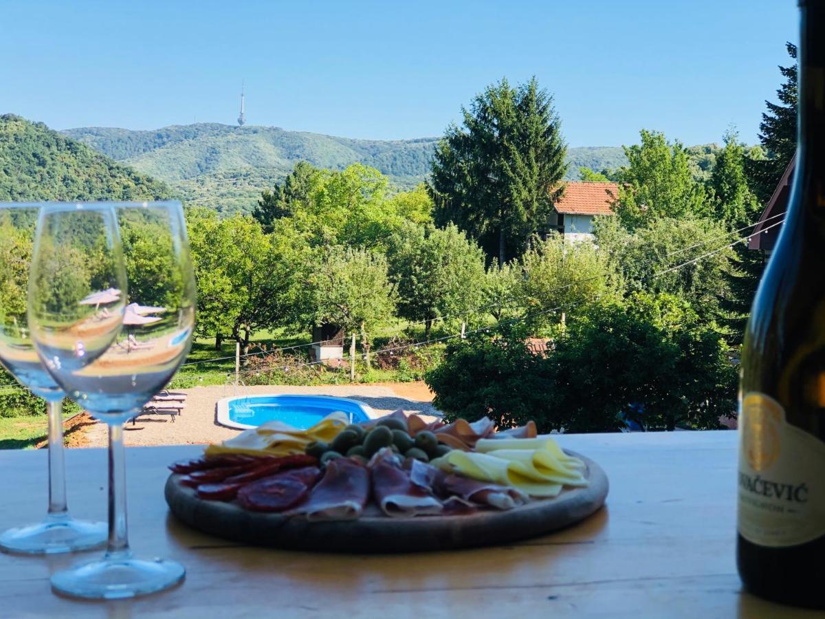 Fruska Pool House Villa Sremska Kamenica Bagian luar foto