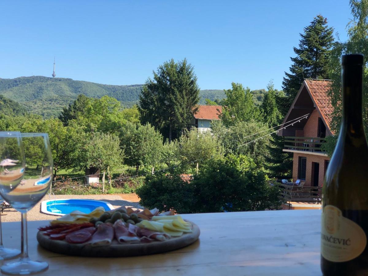 Fruska Pool House Villa Sremska Kamenica Bagian luar foto