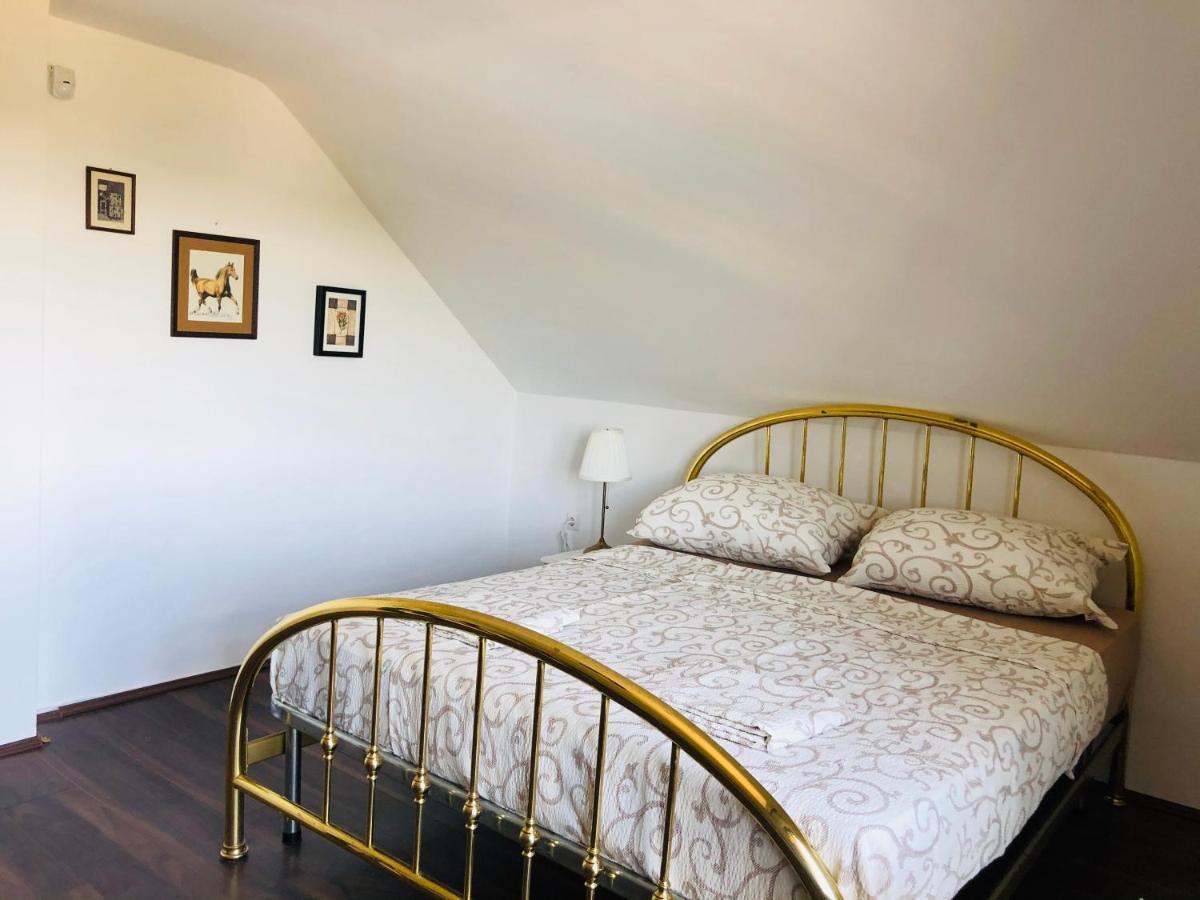 Fruska Pool House Villa Sremska Kamenica Bagian luar foto