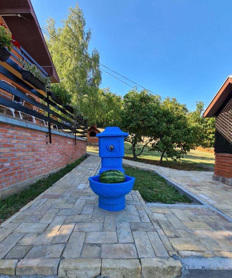 Fruska Pool House Villa Sremska Kamenica Bagian luar foto