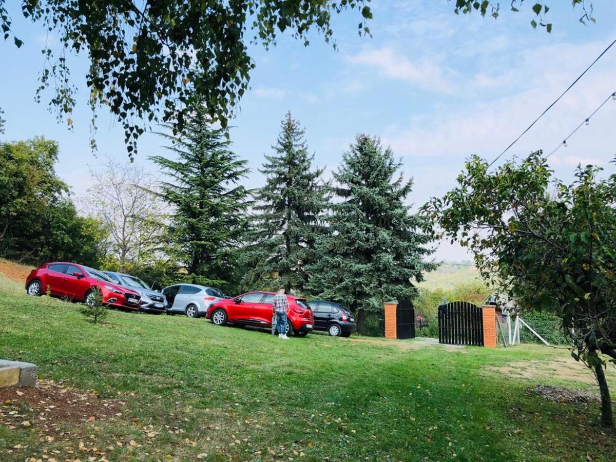 Fruska Pool House Villa Sremska Kamenica Bagian luar foto