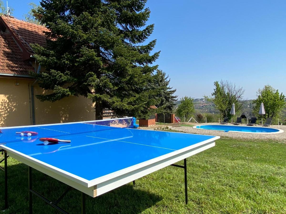 Fruska Pool House Villa Sremska Kamenica Bagian luar foto