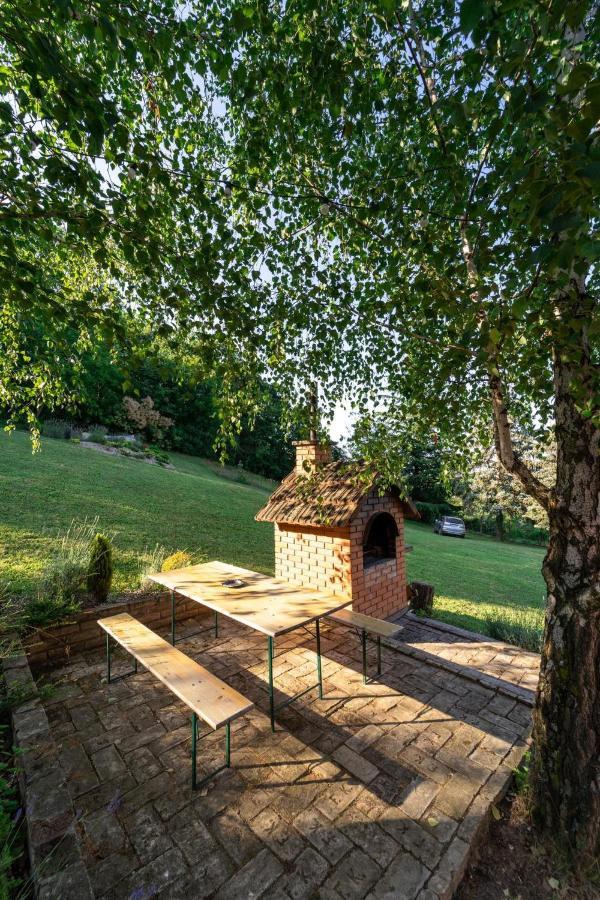 Fruska Pool House Villa Sremska Kamenica Bagian luar foto