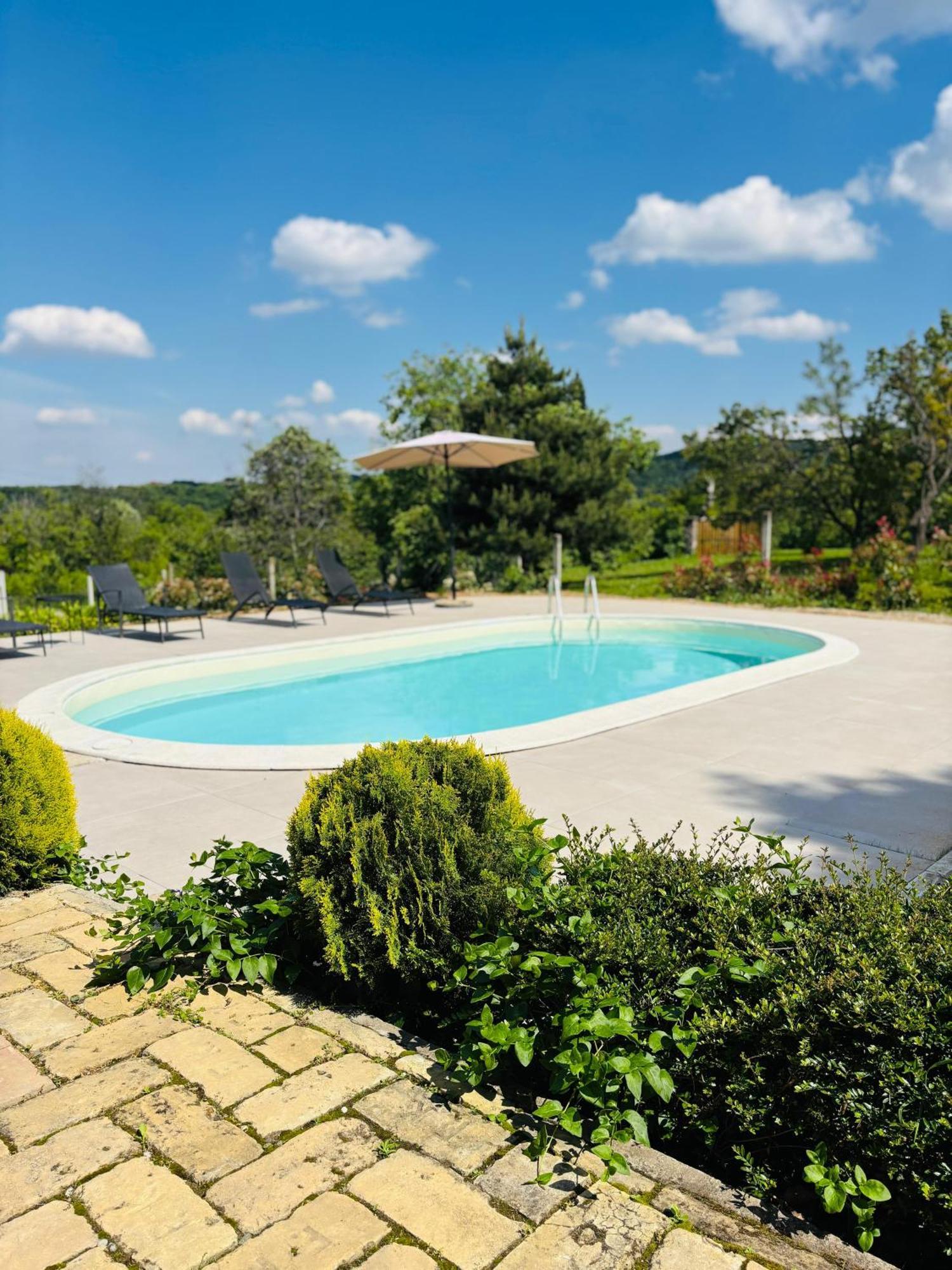 Fruska Pool House Villa Sremska Kamenica Bagian luar foto