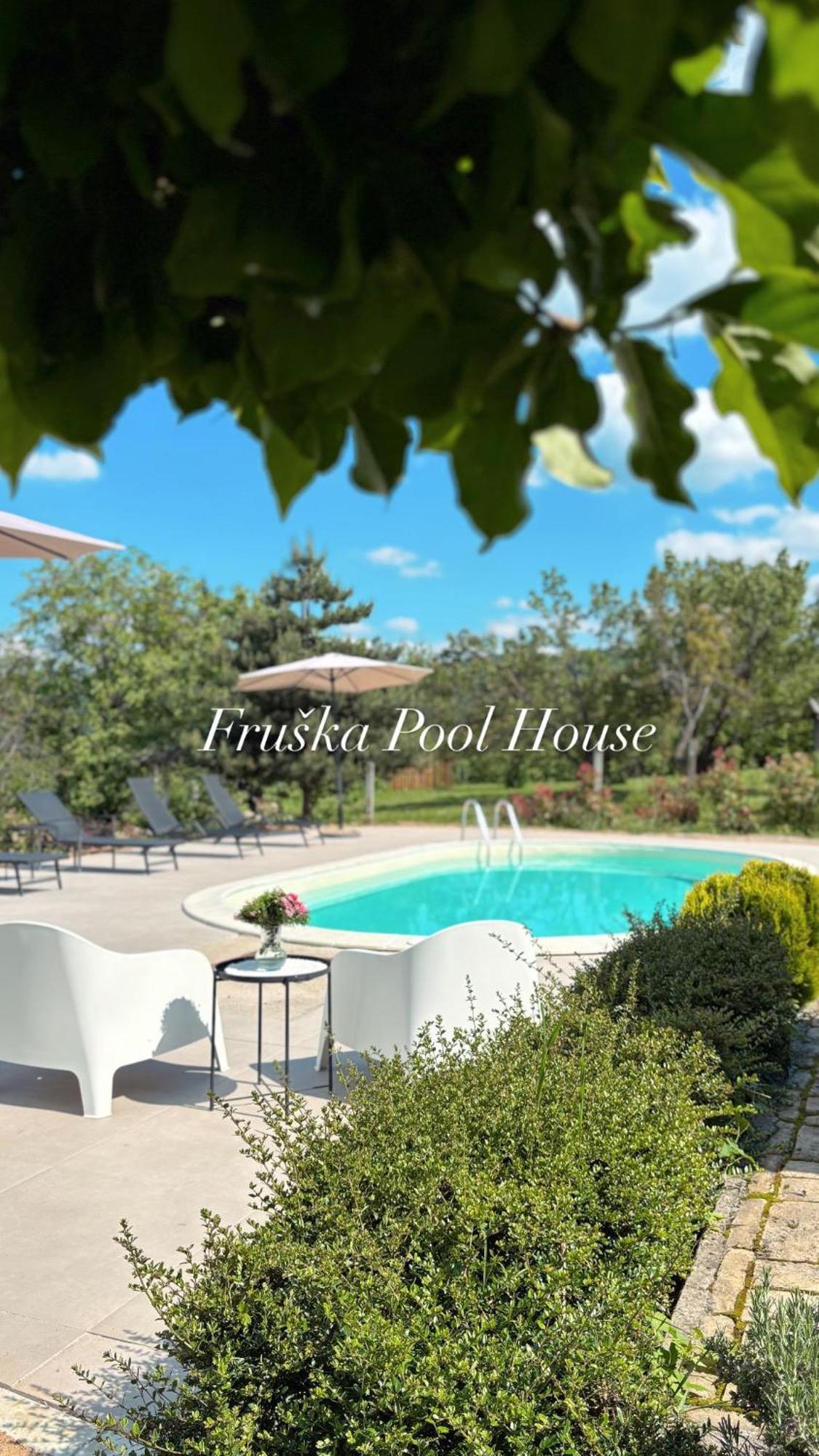Fruska Pool House Villa Sremska Kamenica Bagian luar foto