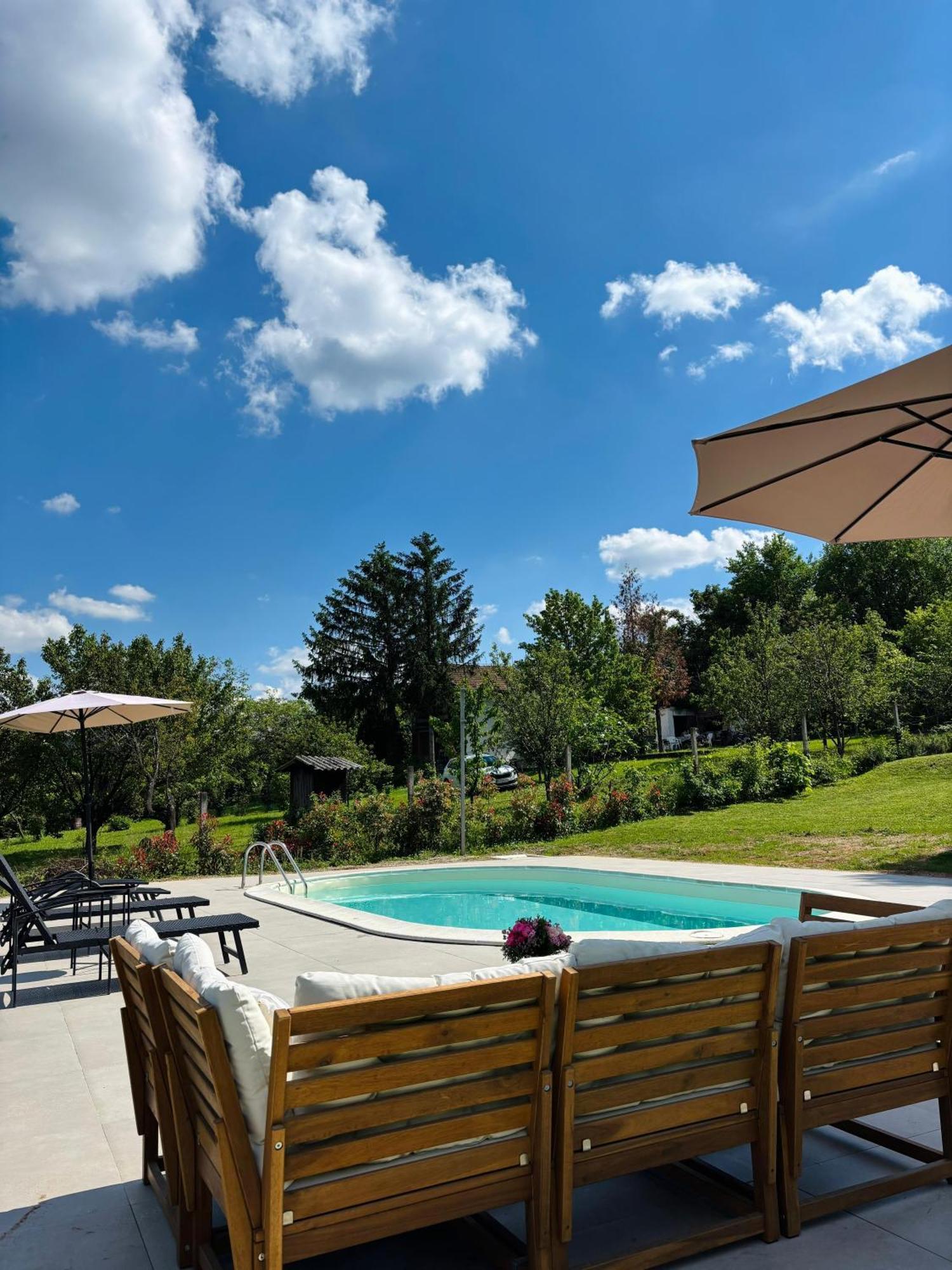 Fruska Pool House Villa Sremska Kamenica Bagian luar foto