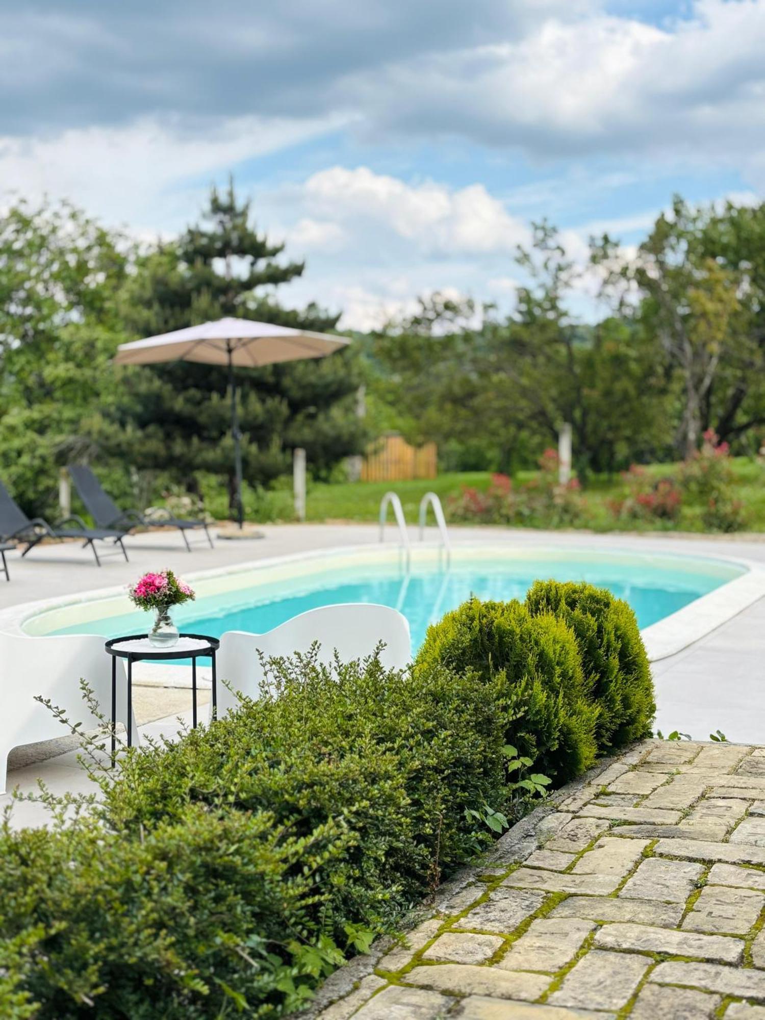 Fruska Pool House Villa Sremska Kamenica Bagian luar foto